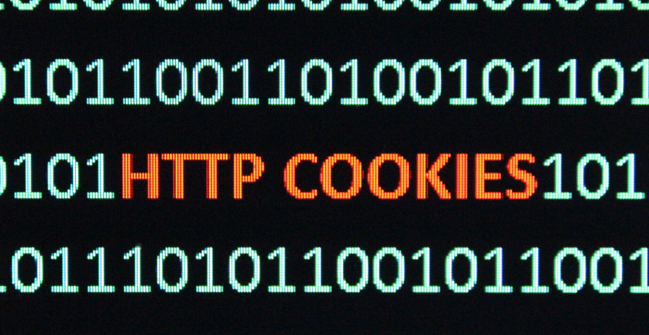 Deletemyinfo essential cookies